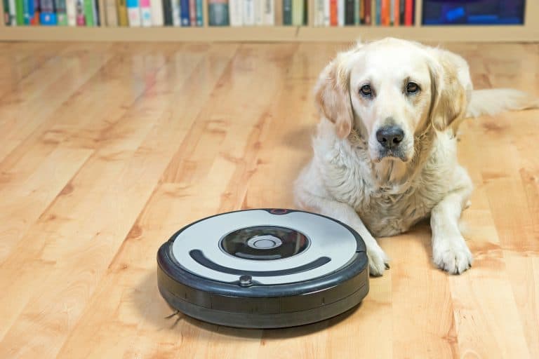 Best Bagless Vacuum for Pet Hair (Updated for 2021)