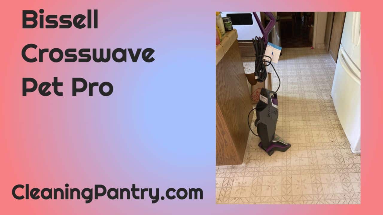 You are currently viewing Bissell Crosswave Pet Pro Review &ndash; With A Cat Judging